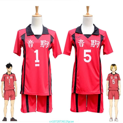 Anime Haikyuu Karasuno High School Cosplay