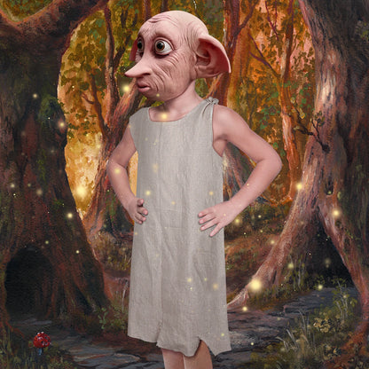 Dobby Costume